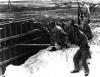 Marines americanos armados com espingardas durante o ataque janponês a Pearl Harbor.