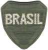 Primeiro brasão da Força Expedicionária Brasileira.
