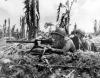 Três Marines e a sua metralhadora Browning M1919.