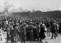 Chegada e selecção de prisioneiros na estação de Auschwitz.