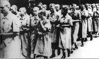 Mulheres prisioneiras em Auschwitz com o cabelo rapado e com um número de identificação tatuado.