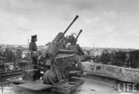 WAC americanas (Women's Army Corps) a examinar as armas anti-aéreas no topo da torre antiaérea alemã na secção de Tiergarten da cidade após a captura de Berlim pelas tropas aliadas.